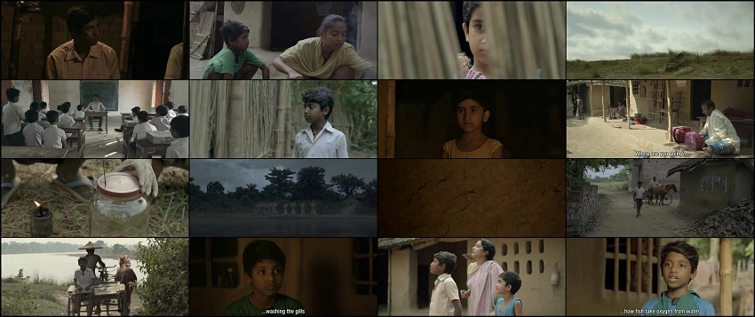 Dostojee | 2021 | Bengali | 480p 720p 1080p