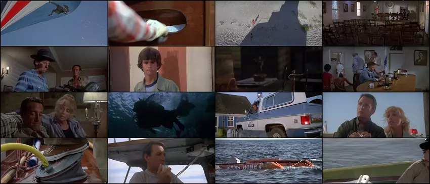 Download Jaws 2 | 1978 | Hindi-English | 480p 720p 1080p