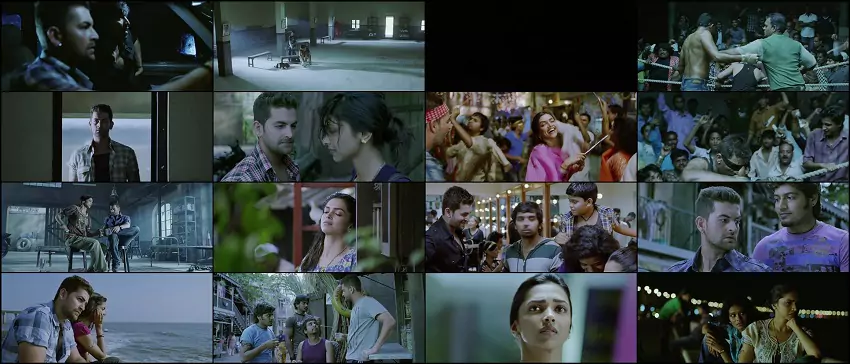 Download Lafangey Parindey | 2010 | Hindi | 480p 720p 1080p