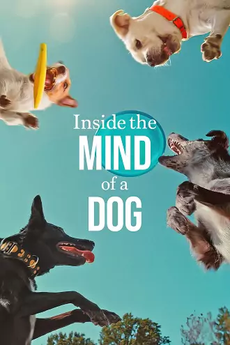 Inside The Mind Of A Dog | 2024 | Hindi-English | 480p 720p 1080p