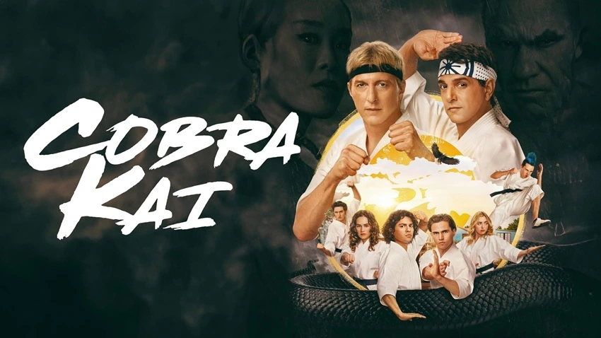 Download Cobra Kai | 2022 | Season 1 | Hindi | Netflix Original WEB Series  | 480p 720p 1080p | AllMoviesHub